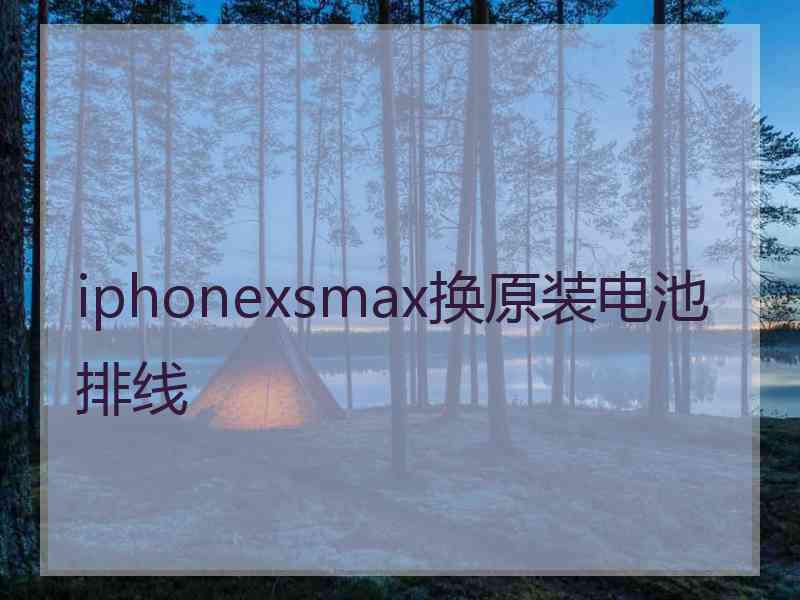 iphonexsmax换原装电池排线