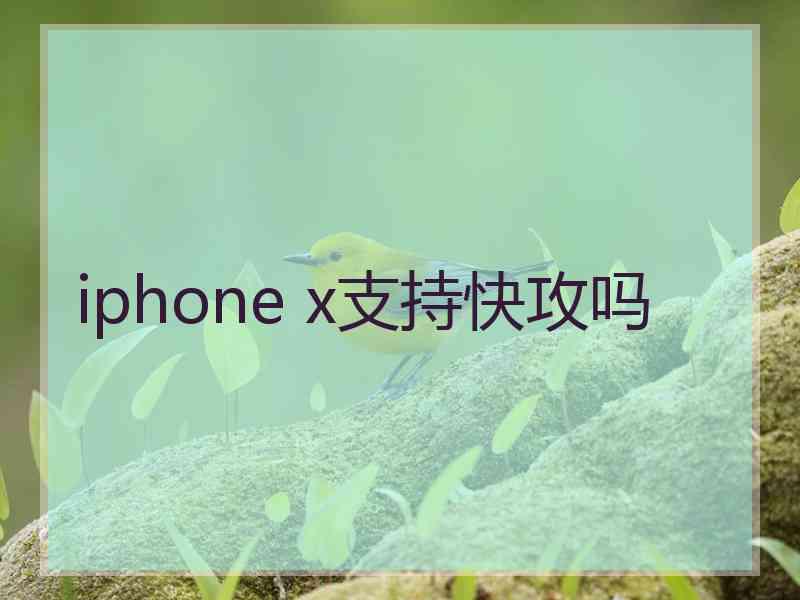 iphone x支持快攻吗