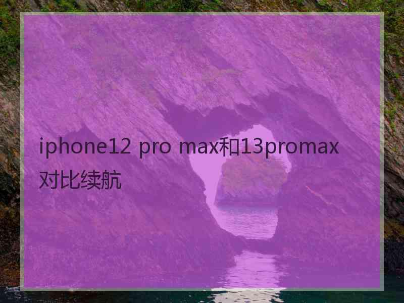 iphone12 pro max和13promax对比续航