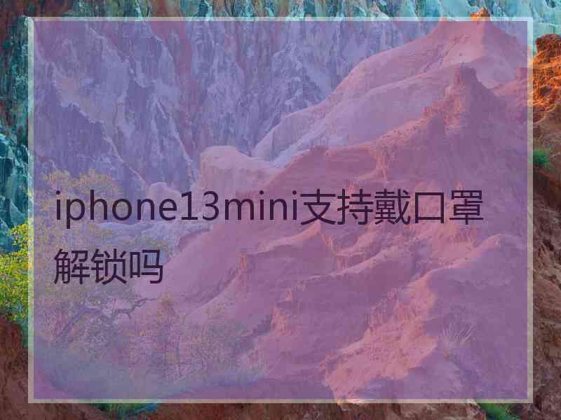 iphone13mini支持戴口罩解锁吗