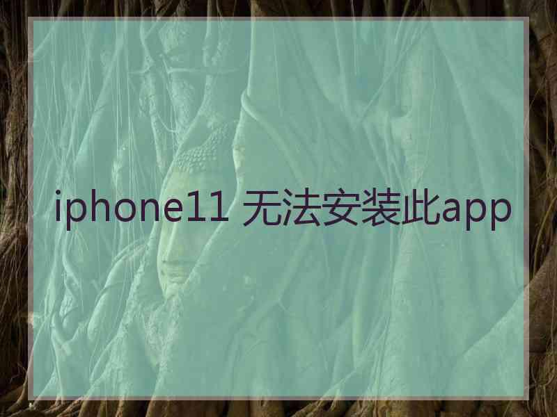 iphone11 无法安装此app