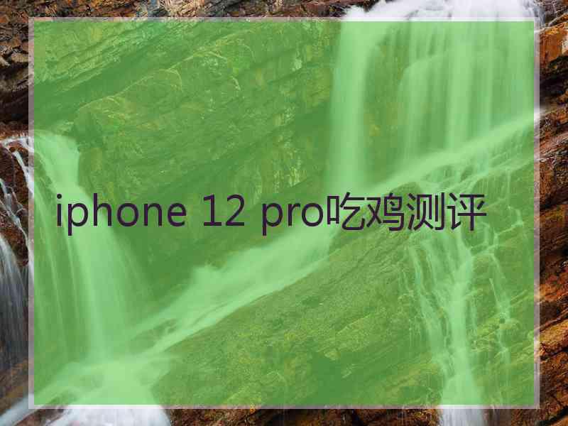 iphone 12 pro吃鸡测评