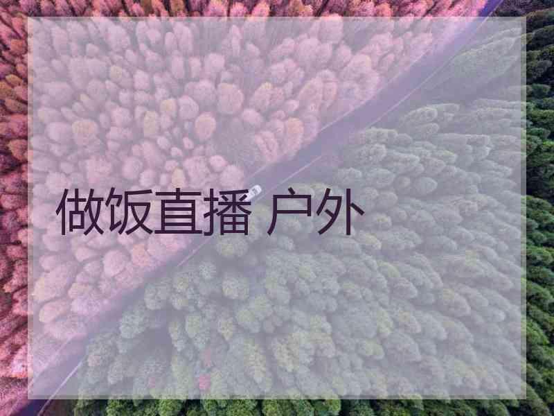 做饭直播 户外