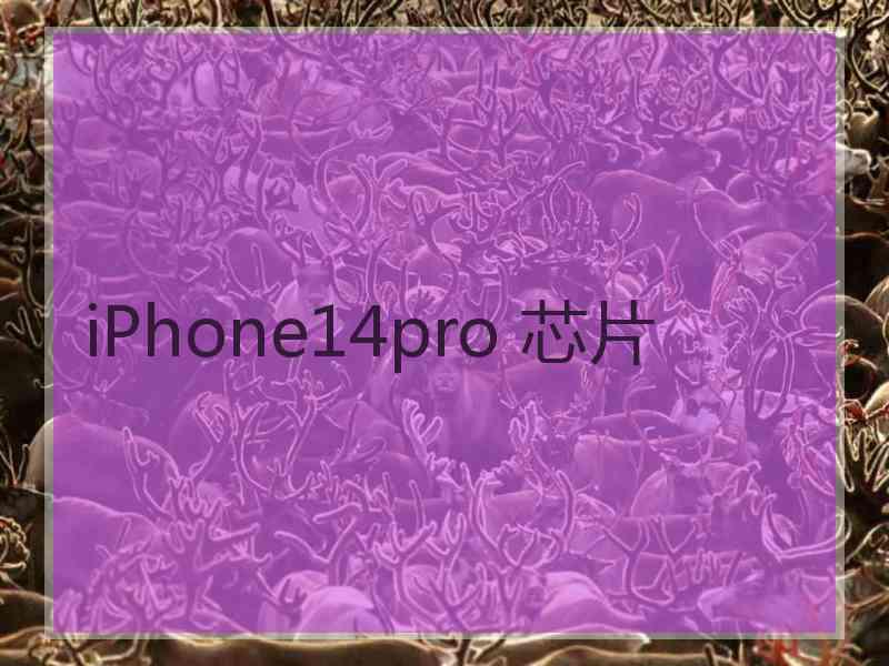 iPhone14pro 芯片