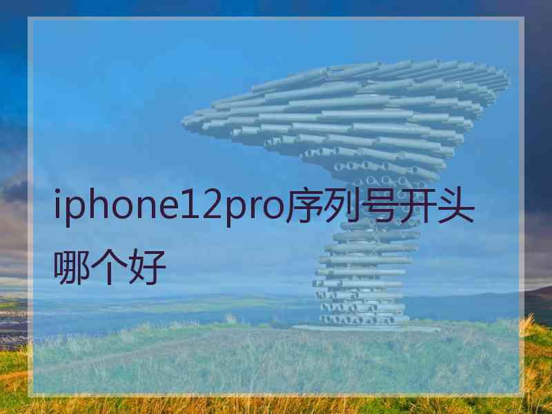 iphone12pro序列号开头哪个好