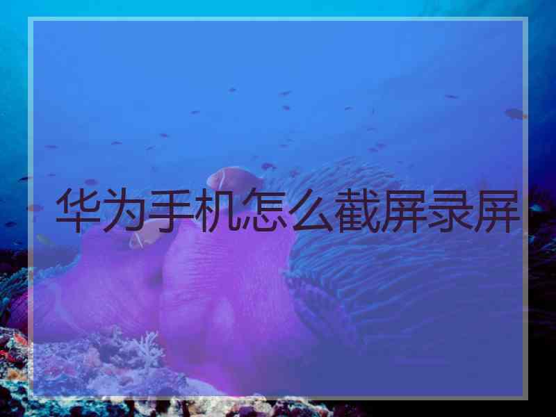 华为手机怎么截屏录屏