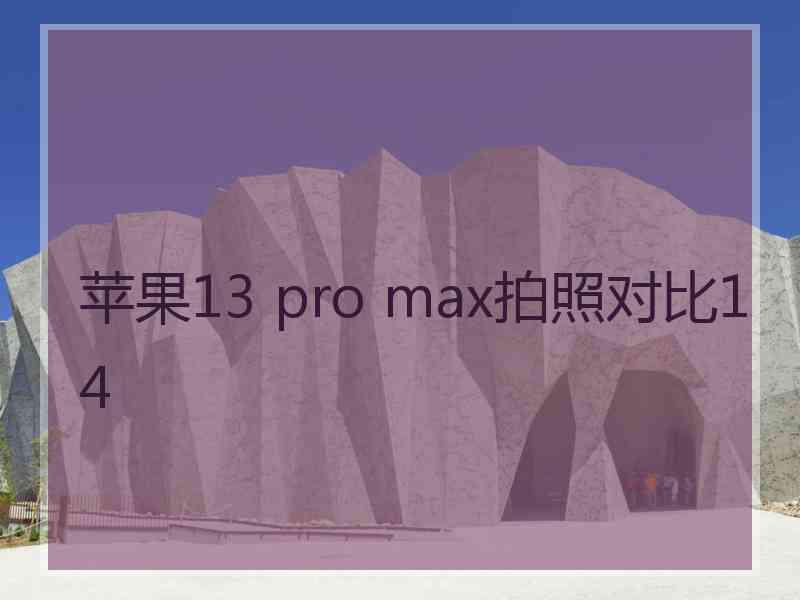 苹果13 pro max拍照对比14