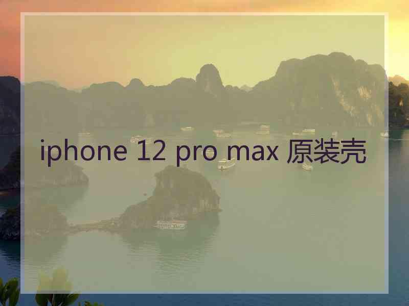 iphone 12 pro max 原装壳