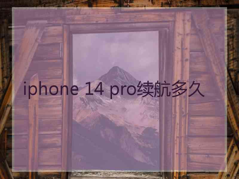 iphone 14 pro续航多久