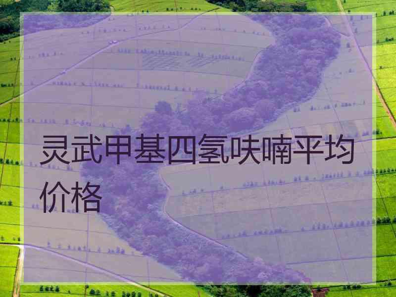 灵武甲基四氢呋喃平均价格