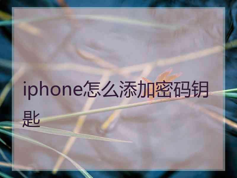 iphone怎么添加密码钥匙