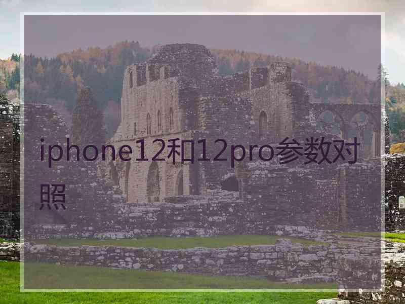 iphone12和12pro参数对照