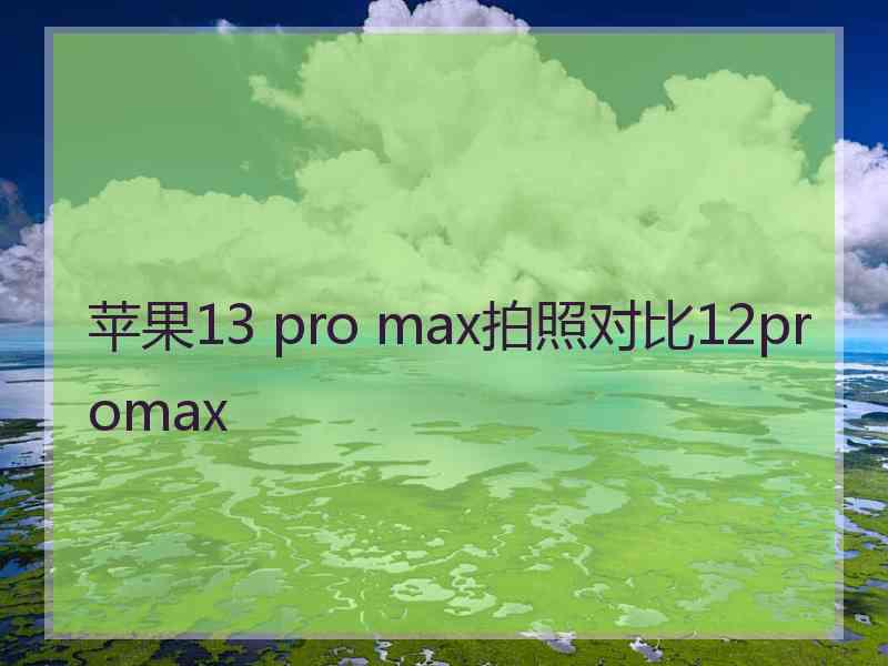 苹果13 pro max拍照对比12promax