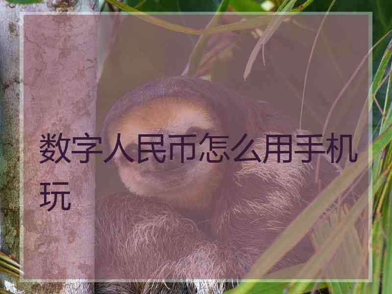 数字人民币怎么用手机玩