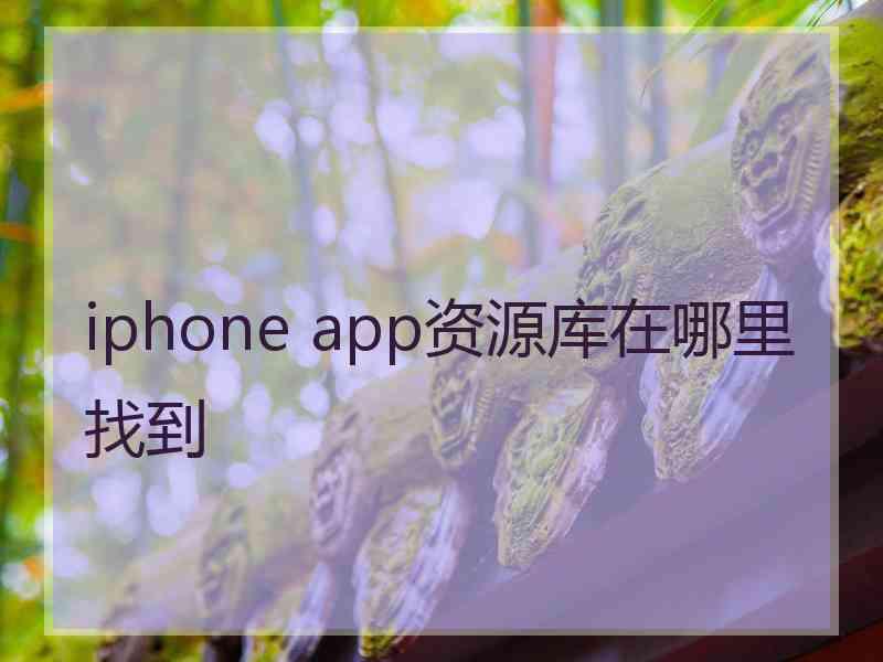 iphone app资源库在哪里找到