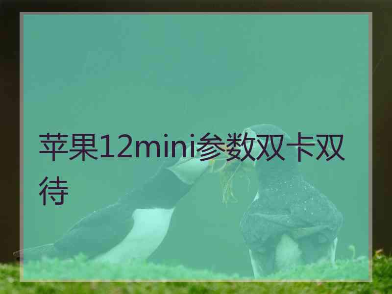 苹果12mini参数双卡双待