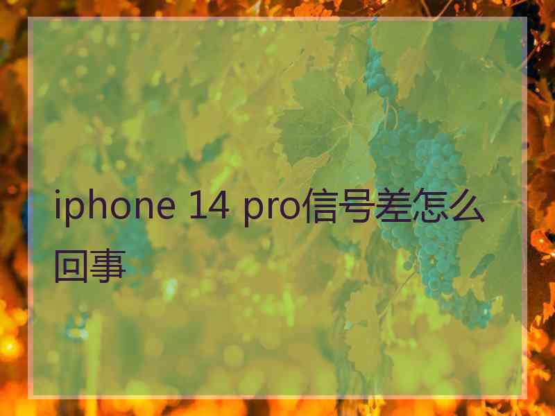 iphone 14 pro信号差怎么回事