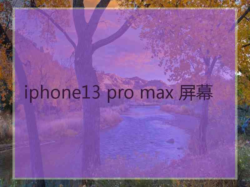 iphone13 pro max 屏幕