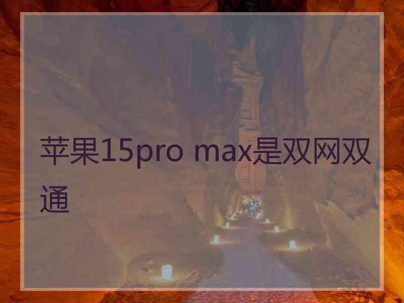 苹果15pro max是双网双通