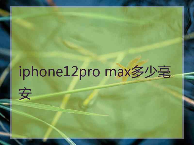 iphone12pro max多少毫安