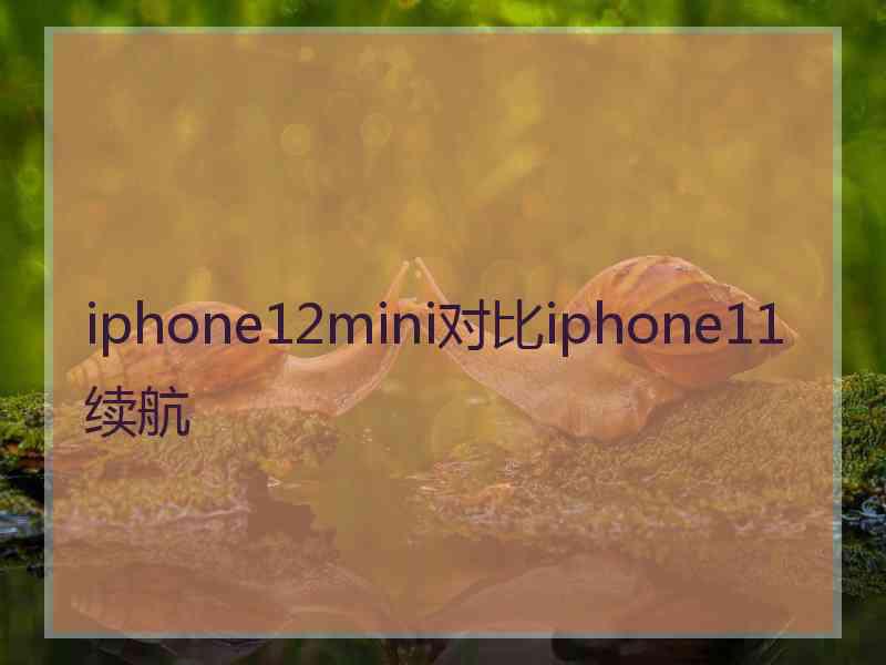 iphone12mini对比iphone11续航