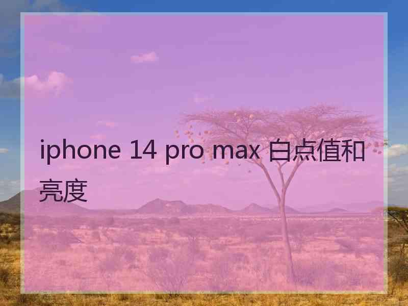 iphone 14 pro max 白点值和亮度