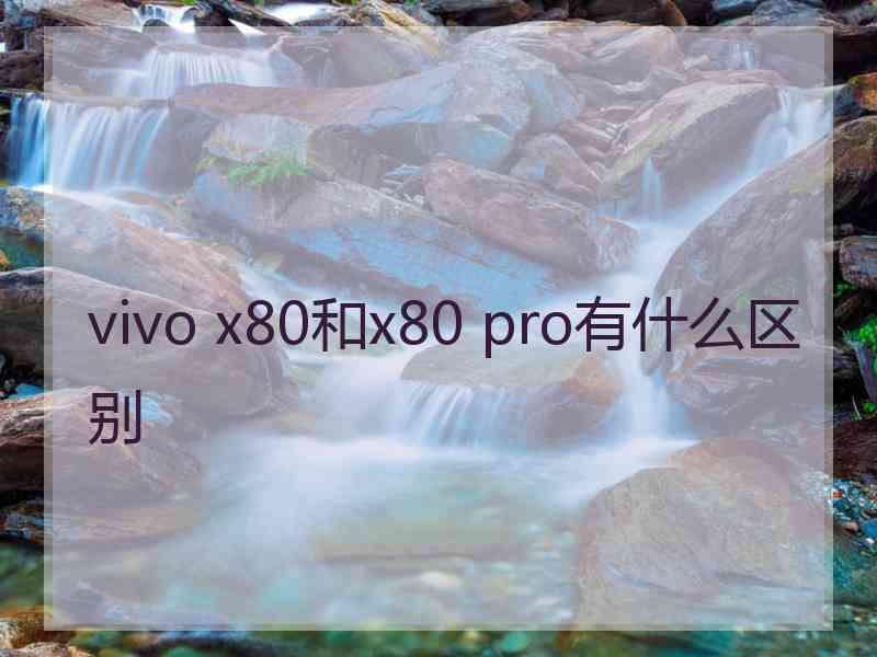 vivo x80和x80 pro有什么区别