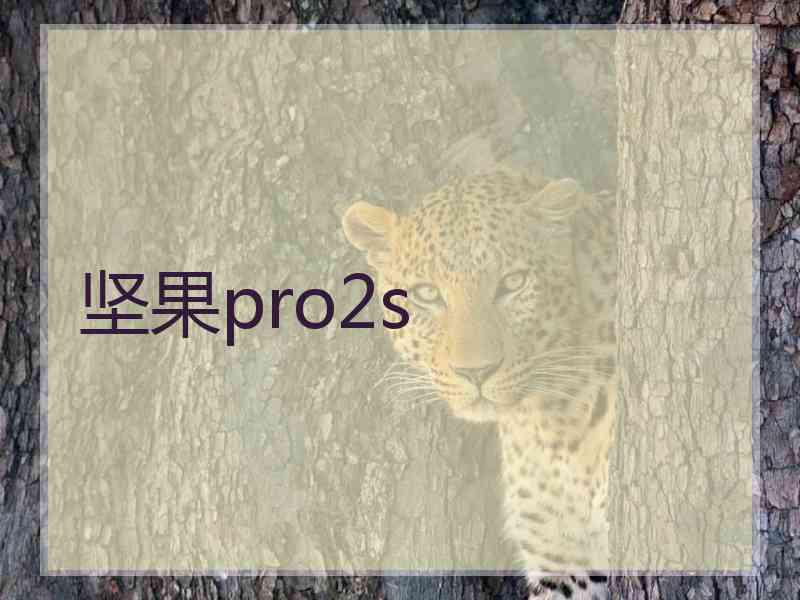 坚果pro2s