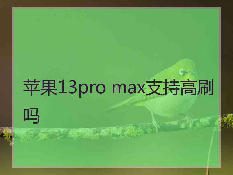 苹果13pro max支持高刷吗