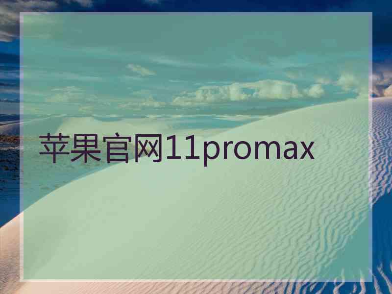 苹果官网11promax