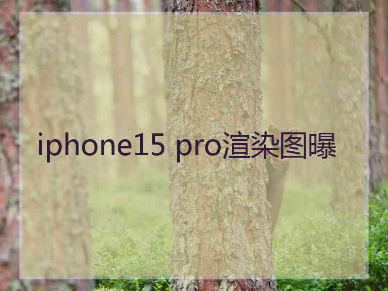 iphone15 pro渲染图曝