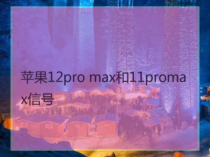 苹果12pro max和11promax信号