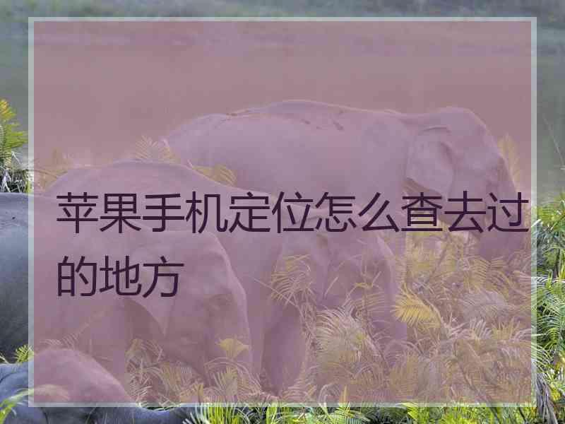 苹果手机定位怎么查去过的地方