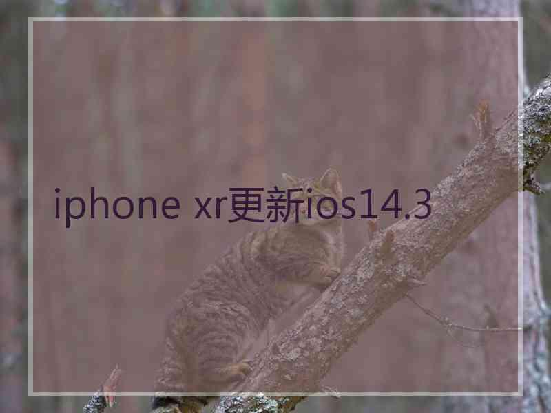 iphone xr更新ios14.3