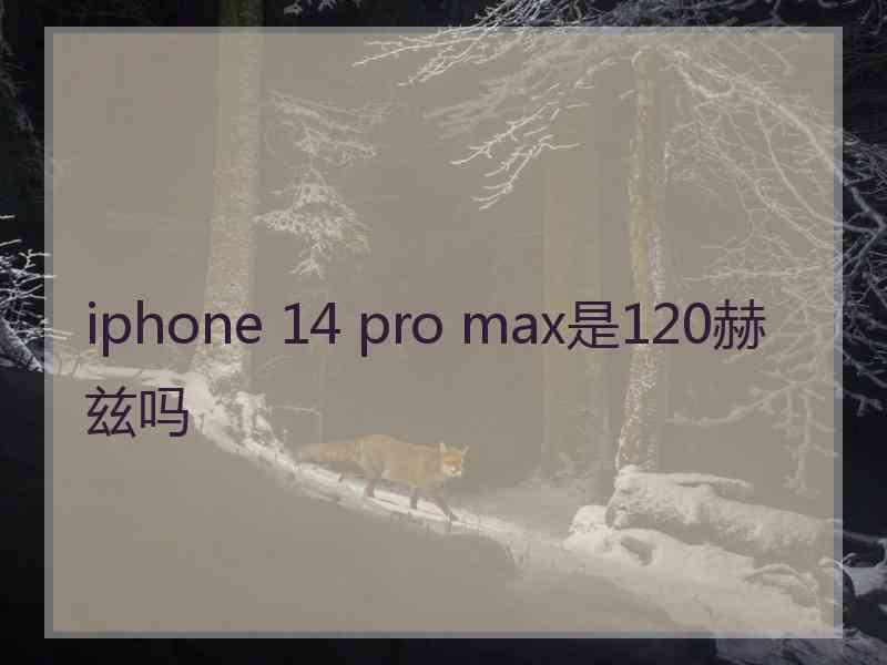 iphone 14 pro max是120赫兹吗