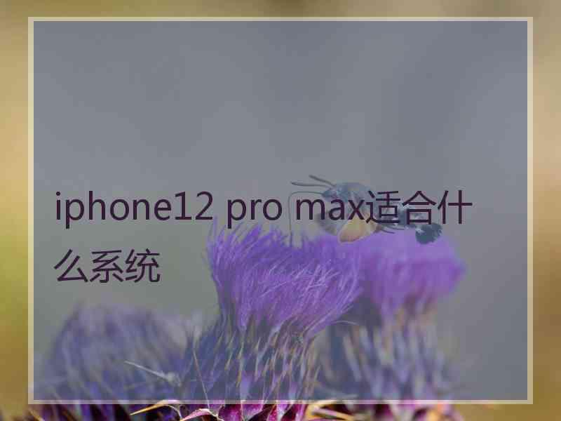 iphone12 pro max适合什么系统