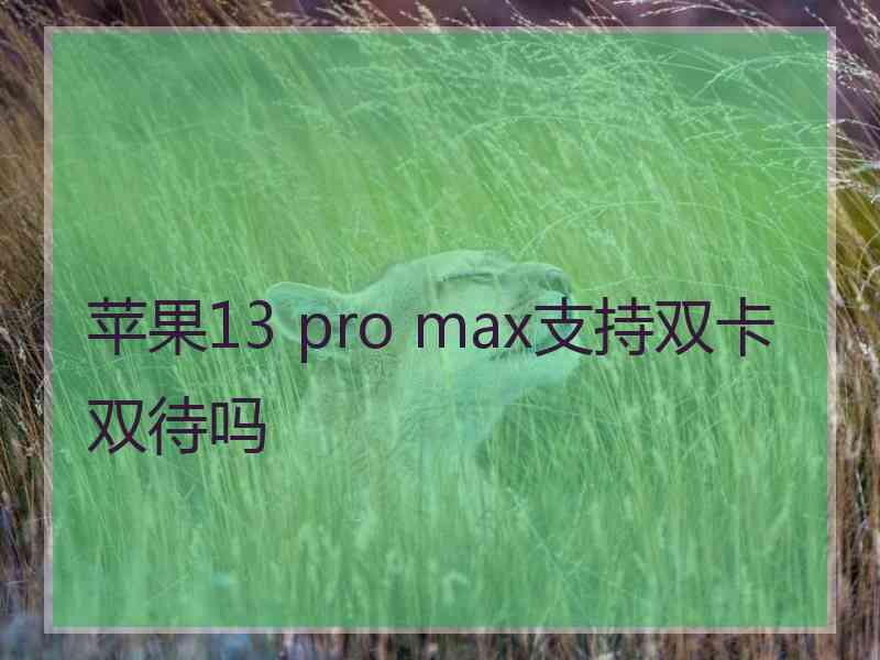 苹果13 pro max支持双卡双待吗