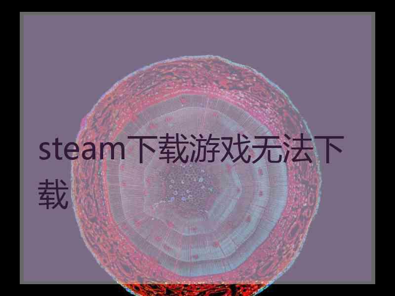 steam下载游戏无法下载