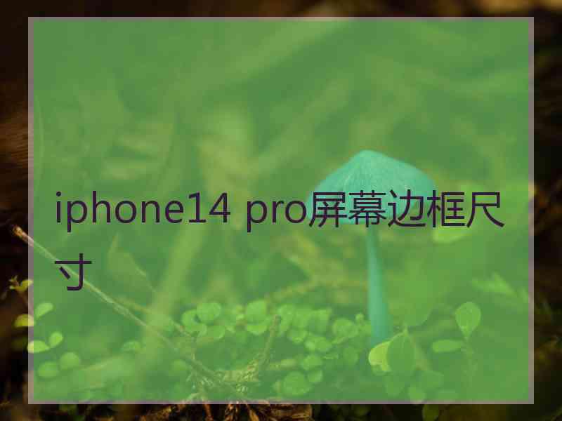 iphone14 pro屏幕边框尺寸