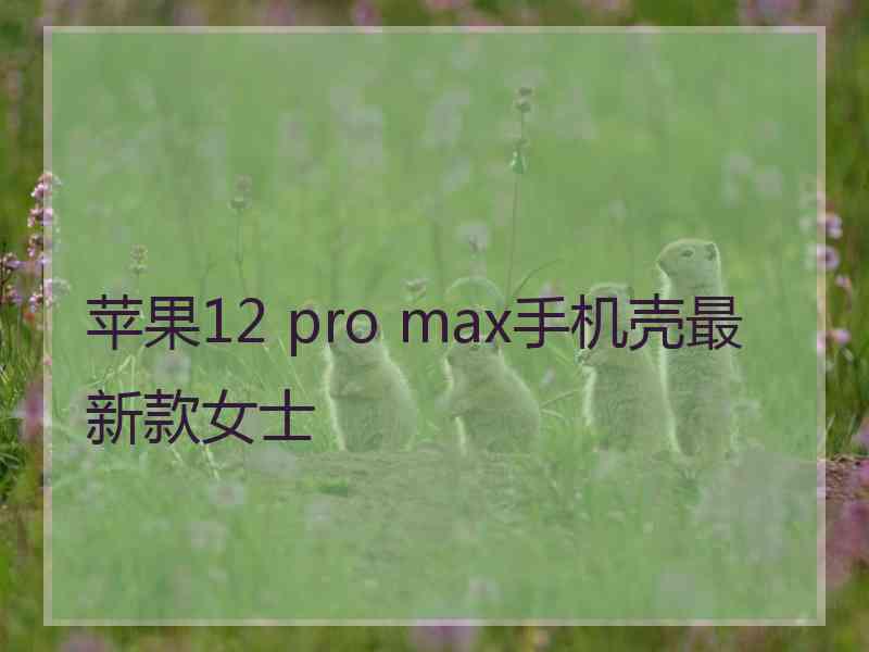 苹果12 pro max手机壳最新款女士