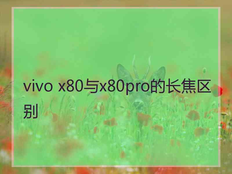 vivo x80与x80pro的长焦区别