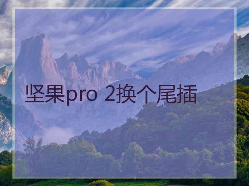 坚果pro 2换个尾插