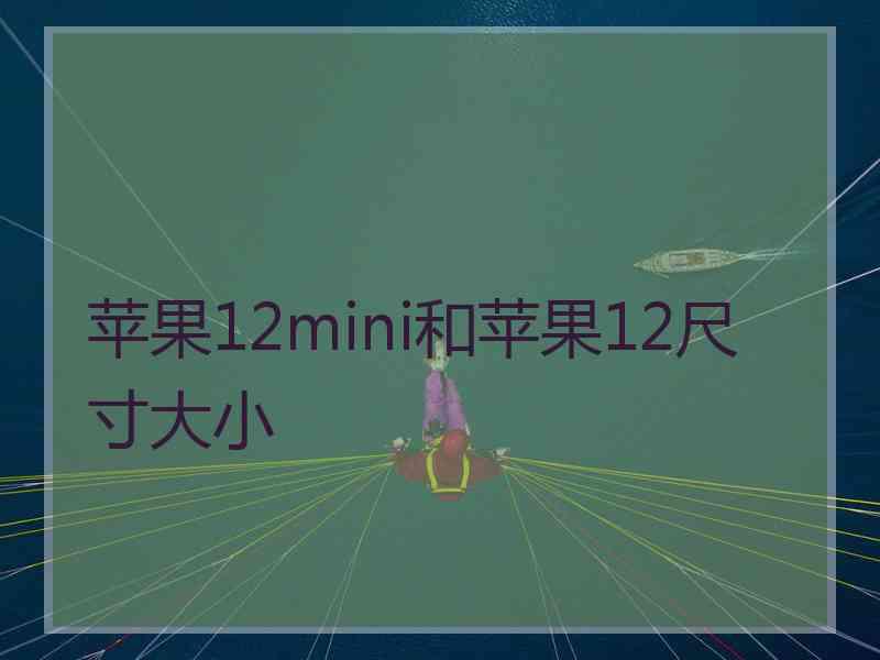 苹果12mini和苹果12尺寸大小