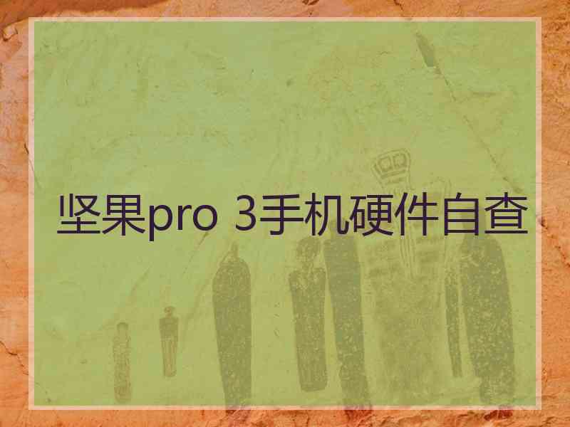 坚果pro 3手机硬件自查