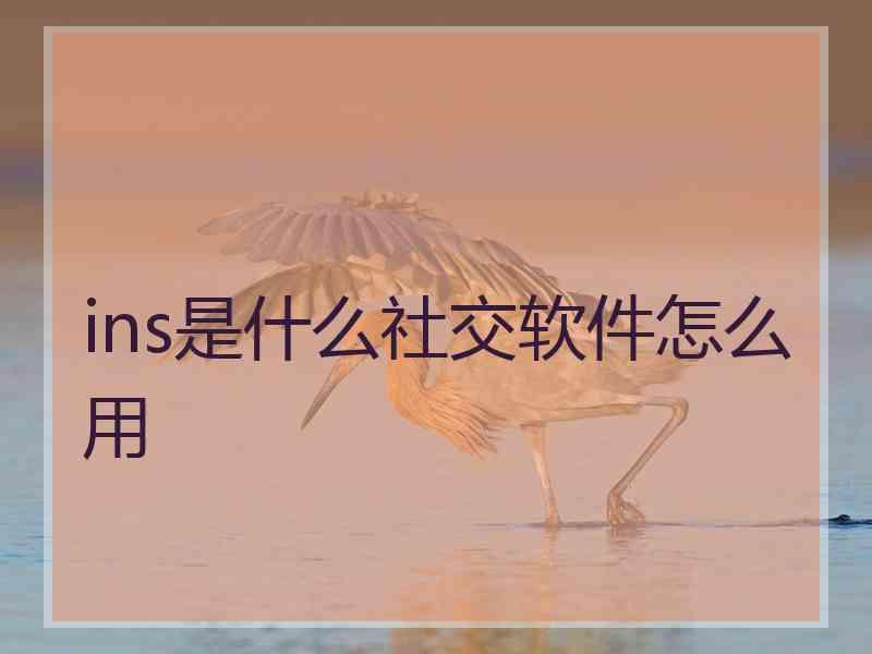 ins是什么社交软件怎么用