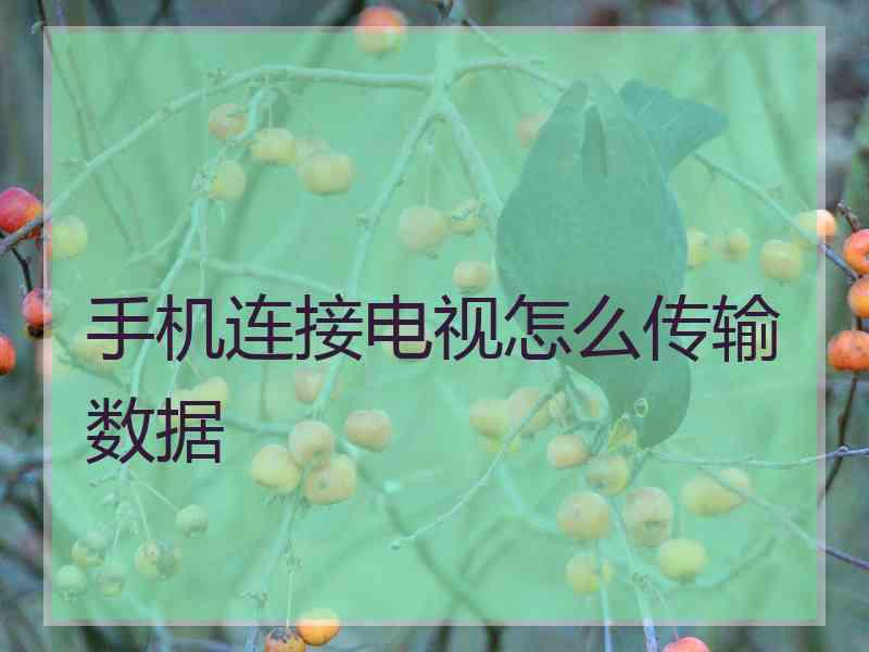 手机连接电视怎么传输数据