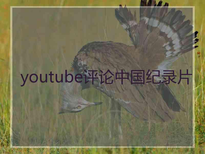 youtube评论中国纪录片