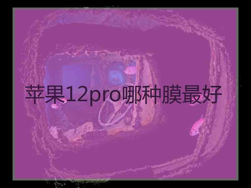 苹果12pro哪种膜最好