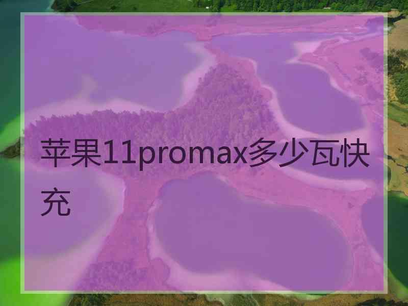 苹果11promax多少瓦快充