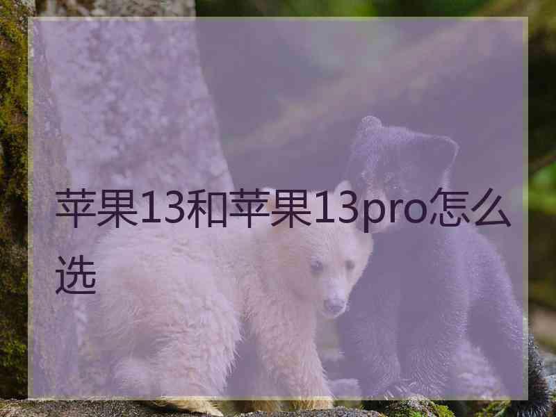 苹果13和苹果13pro怎么选